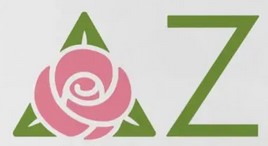 Delta Zeta
